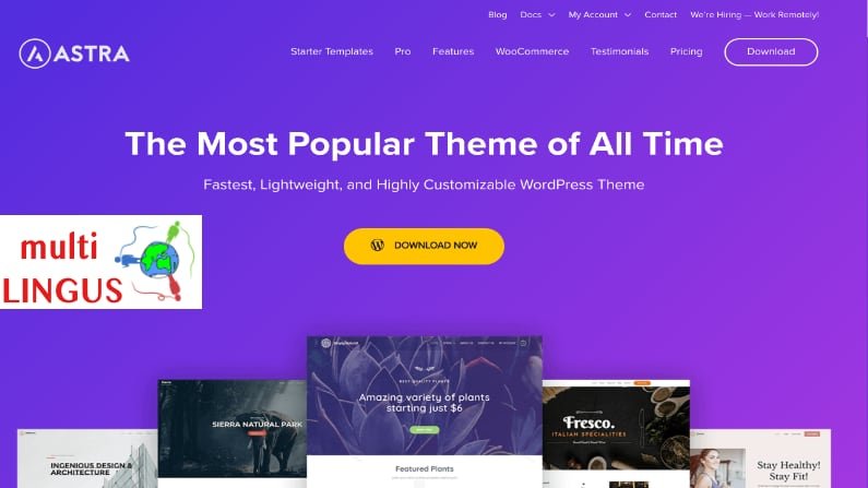 WordPress Astra theme review