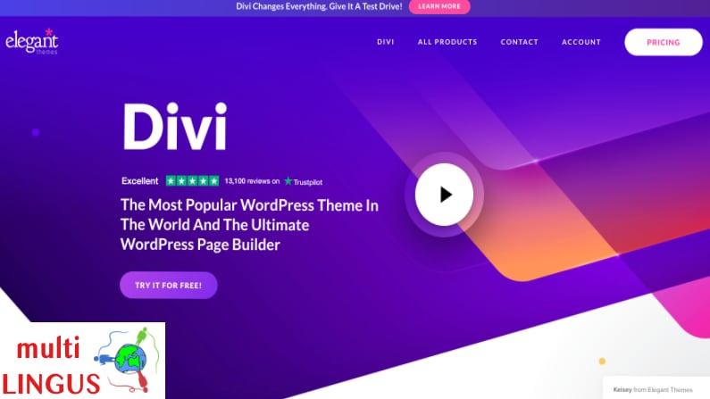 Divi Review – pros and cons of Divi theme.